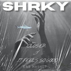 Closer x It Feels So Good - Ben Snow vs. Nooch - SHRKY's DnB Mashup