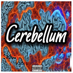 Cerebellum (Freestyle)