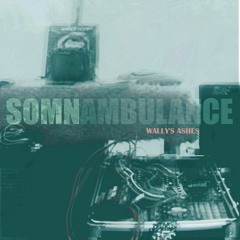 Somnambulance Wallys Ashes Part 2 SC Mix