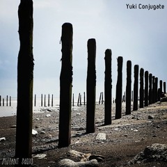 O Yuki Conjugate [01.06.2021]
