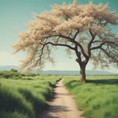 When Springtime Comes Again by John Fahey