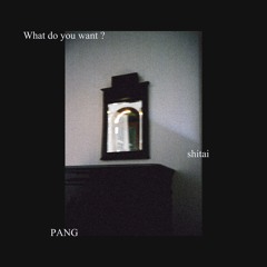 What do you want  feat.PANG (prod. noizy)