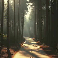 The Road That Fits My Feet