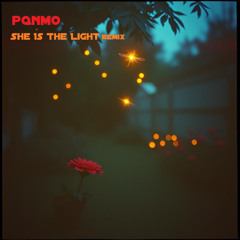 She Is The Light Remix