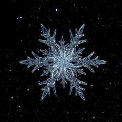 Snowflake (final version)