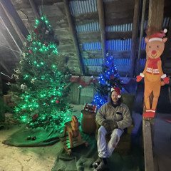 A winter romance (Under the Mistletoe)