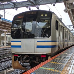 E217系減りましたね