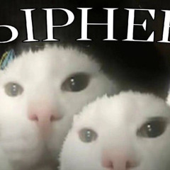 hi