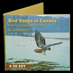 Episode 226 - A Man Of Many Talents - John Neville