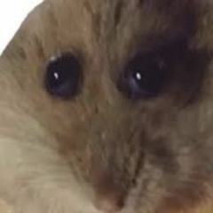 [EXTREME-MODE] (fellified ver.)