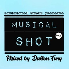 MUSICAL SHOT VOL. 1