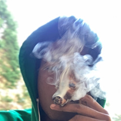 LilDizzy-Bonversation (Prod By Act&Stimglocks)