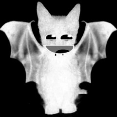 kitty