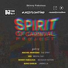 Spirit of Carnival Project