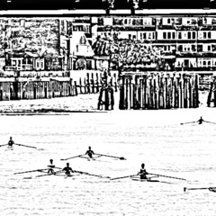 Vesta Scullers Head - Chris Harrison