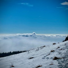 Desesperanza - Maria Luisa Escobar