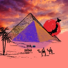Shokr