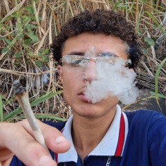 Fleezus - BRASILREALGRIME