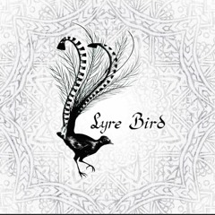 Lyrebird - Strange Music for Strange Times for Strange People