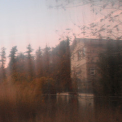 guide dog [quadeca cover]