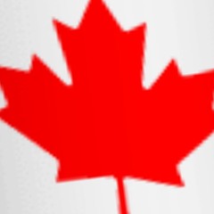 Tropa do cachorro louco, se brota aqui na v.u vai toma so rajadao🇨🇦