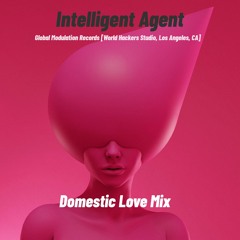 Intelligent Agent (Domestic Love Mix)