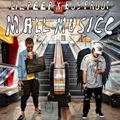 LiL PEEP & Boy Froot - END MY LIFE BROE (FULL CDQ)
