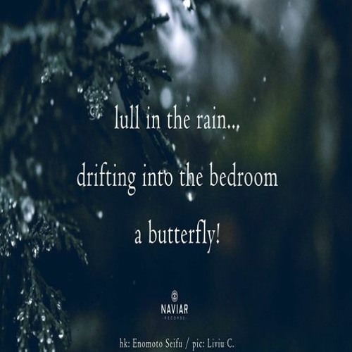 Lull In The Rain - (naviarhaiku501)
