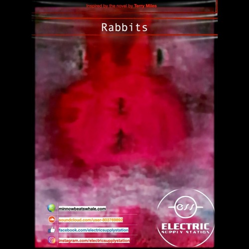 Rabbits - "what do you know about the game?"