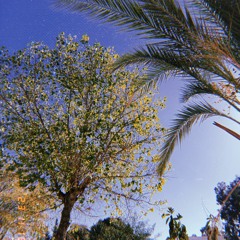 ضعفي -شيرين كوفر  cover  sherine daafi(by malek)