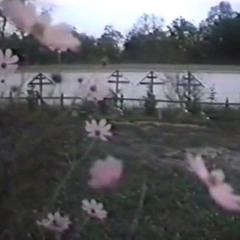 𖠣𖠣 emoslut666 playlist