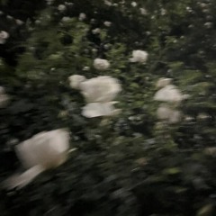 я писал всё о любви w/ lxr1n (prod. wannawoods)