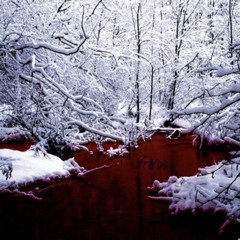 snowfall -go checj put my other account bItchh