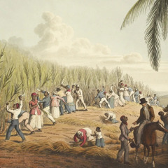 King Alpha - Transatlantic dub plate