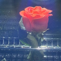 INTOCALLNU BY ALFAFLA WOODROWCLARK