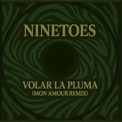 Ninetoes - Volar La Pluma (Mon Amour Remix)