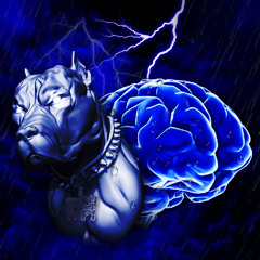 Real RX
