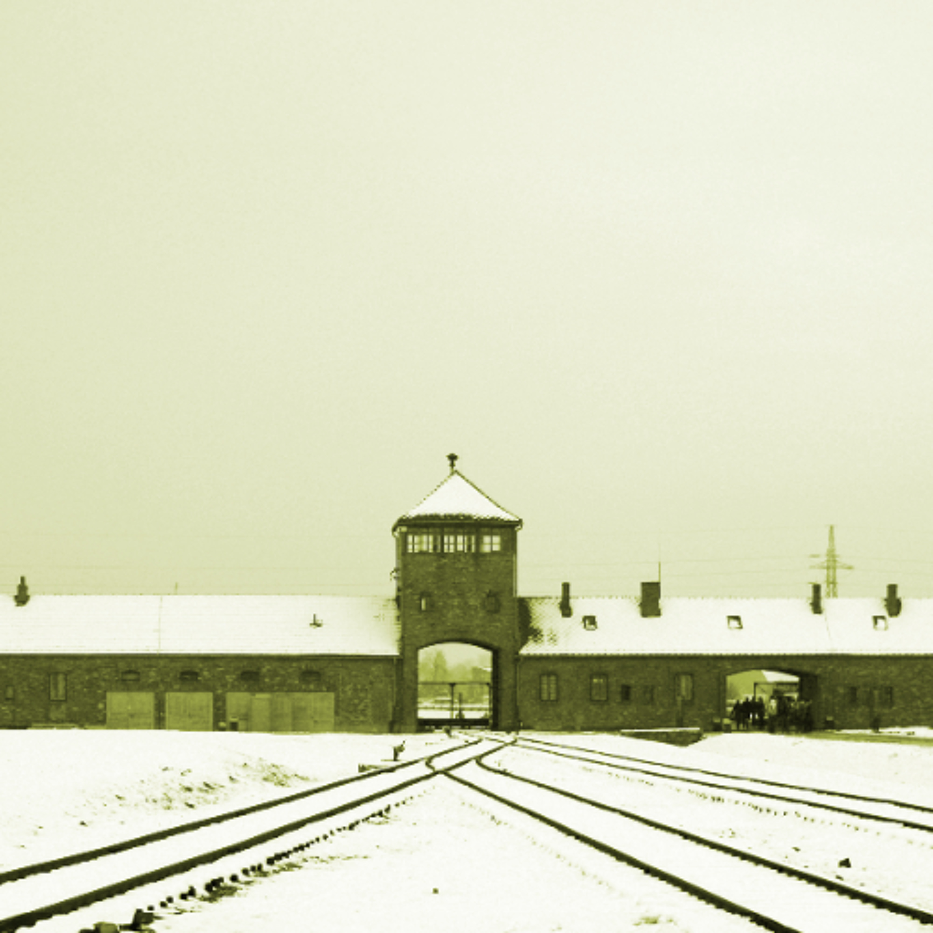 The Nazi Experiment, Vol. 11: Dictatorship by Reichstag Fire