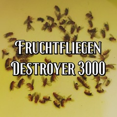Fruchtfliegen Destroyer 3000