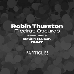 Premiere: Robin Thurston - Neverending (Dmitry Molosh Remix) [Particles]