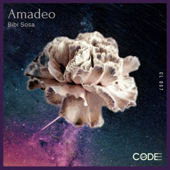 Bibi Sosa - Amadeo