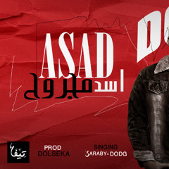مهرجان اسد مجروح (طلعو كانو قاصدين بغدر ) - توزيع دولسيكا - 2025