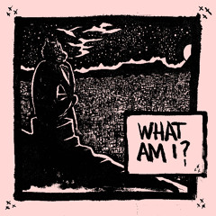 What Am I