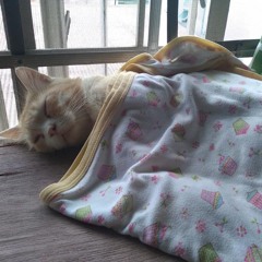 Gusto Ko Nalang Tumakbo