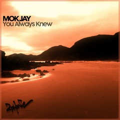 You Always Knew (Original Mix)