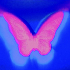 Playboi Carti - neon butterflies(528hz)