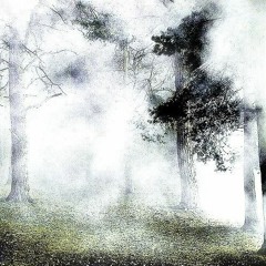 Trekyo - racks up (prod. night66)