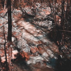 InToTheWild