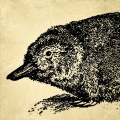 The Ballad of Platypus