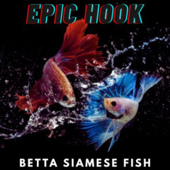 Betta Siamese Fish